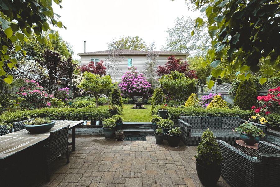Jardin paysager finalisé avec fleurs et végétation harmonieuse